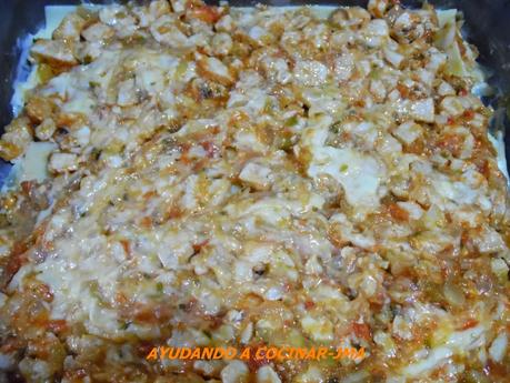 Lasaña de Pollo