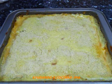 Lasaña de Pollo
