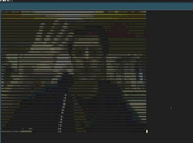 VideoChat corre ¿Una terminal?