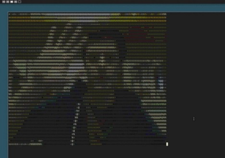 App de VideoChat que corre en… ¿Una terminal?