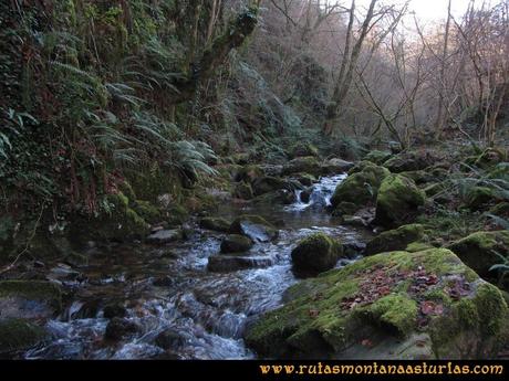 Ruta Foces del Rio Pendon y Varallonga: Río Pendón