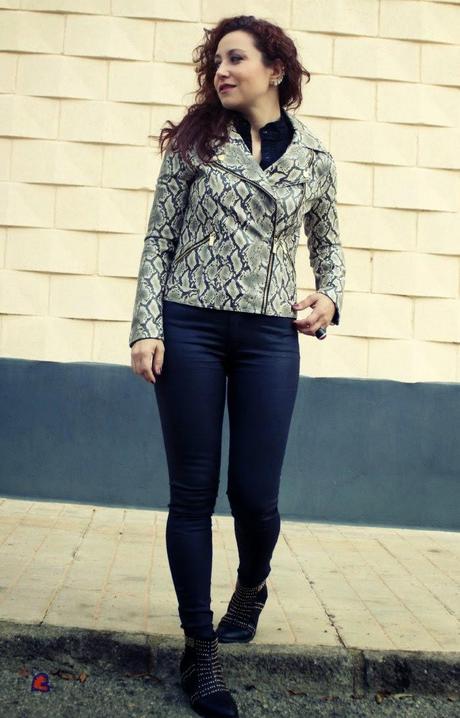 Colorblock y Perfecto de Serpiente-Colorblock and Snake Print Jacket