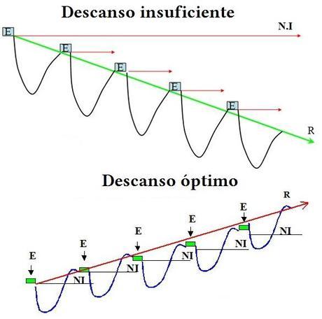 ¿Sabes a qué intensidad debes entrenar para obtener beneficios?