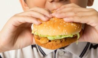 niño comiendo hamburguesa