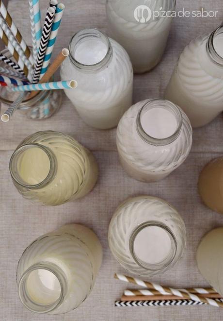 ¿Cómo hacer leche vegetal?