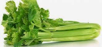 ALIMENTOS QUE LIMPIAN Y ADELGAZAN