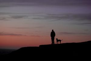 Fake Plastic Alice @ Flickr.com