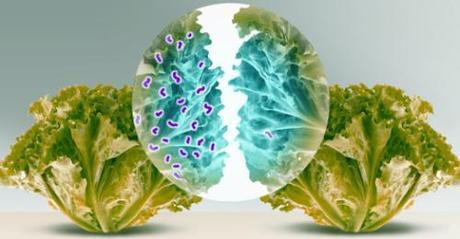 Desinfección de hortalizas, verduras y frutas. desinfeccion