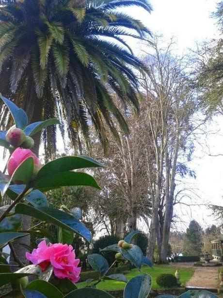 El jardín de La Saleta en Invierno, del 20 de enero de 2015 al 19 de febrero. Saleta's Garden in Winter, January 20, 2015 - February 19.