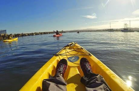 Adventures by the Sea Monterey Bay Aquarium, Monterey Bay, California, Road Trip, Estados Unidos,
