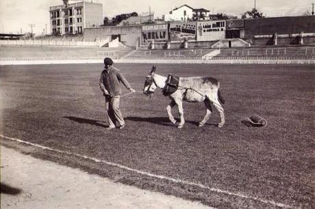 En busca del sueño de Madrid