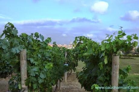 Enoturismo, todo un mundo de escapadas con encanto! 2 Lugares con encanto Enoturismo Vinoterapia Hotel Mastinell Vilafranca del Penedés Cava Fujifilm xe-1