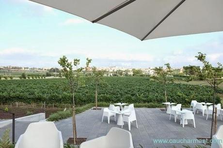 Enoturismo, todo un mundo de escapadas con encanto Lugares con encanto Enoturismo Vinoterapia Hotel Mastinell Vilafranca del Penedés Cava Fujifilm xe-1