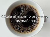 Pequeñas acciones mejoran productividad largo