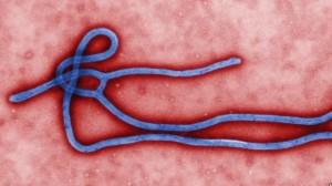 virus ébola vacuna medicamento fármaco