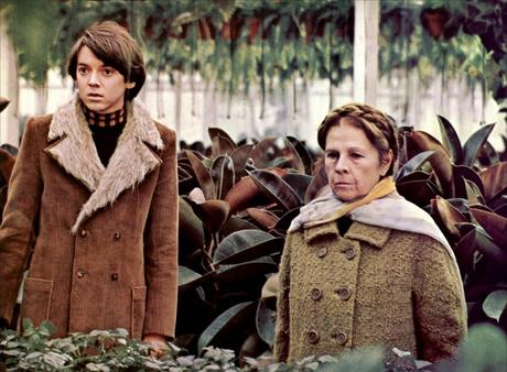 HAROLD Y MAUDE