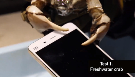 Resistencia de los móviles Xiaomi ¡a prueba de cangrejos!