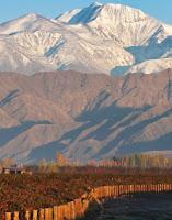 Viticultura y gastronomía de Argentina: un festín de calidad, originalidad y sabores