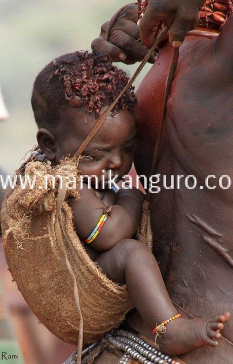 d46e1d441012420ebfa9aba0ebf90c0b