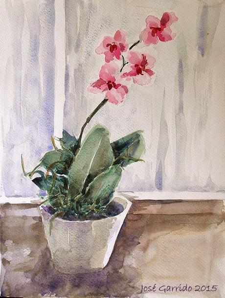 Más acuarelas de febrero 2015