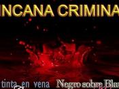 Yincana criminal tres meses crímenes