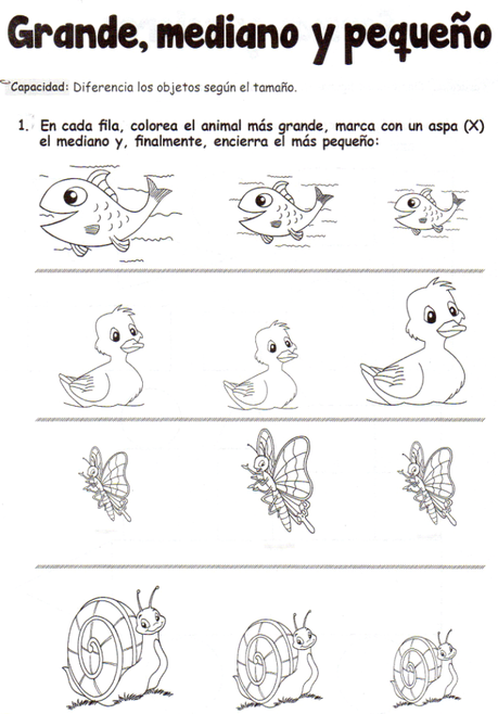 grande mediano y pequeño