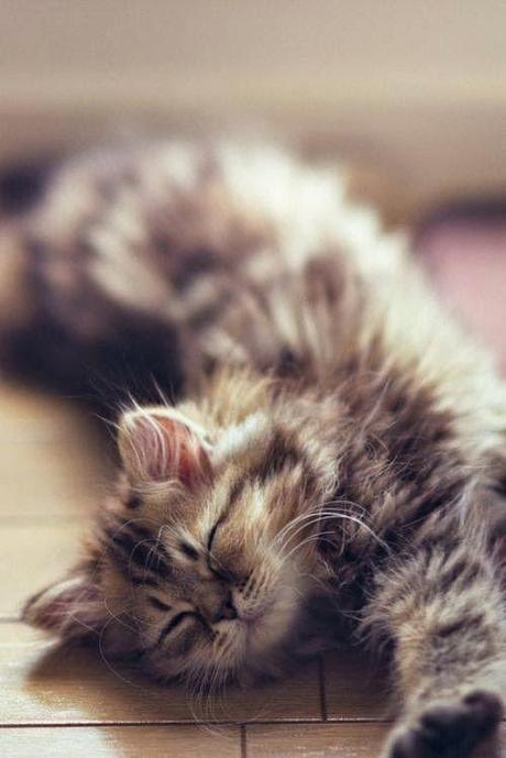 San Viernes inspeccionando