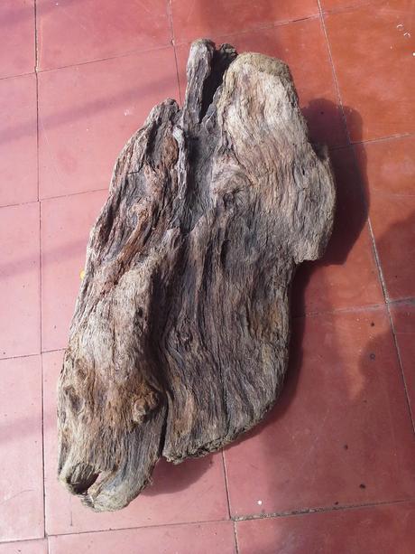 Lámpara reciclada con elementos naturales Lámpara reciclada con elementos naturales