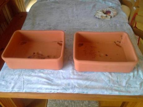 Macetas decoradas a tu gusto Macetas decoradas a tu gusto