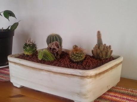 Macetas decoradas a tu gusto Macetas decoradas a tu gusto