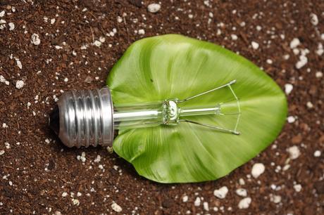 Energías Renovables: La Biomasa