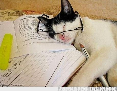 Baja Actividad por Temporada de Exámenes