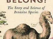 Reseña: Where camels belong?