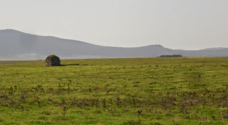 Ermita visigoda del Santo, junto a Valdesalor