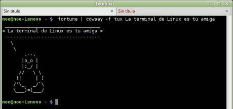 Terminal de Linux Mint