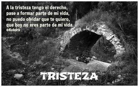 TRISTEZA TRISTEZA