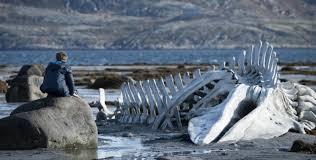 Resultado de imagen de leviatan pelicula rusa