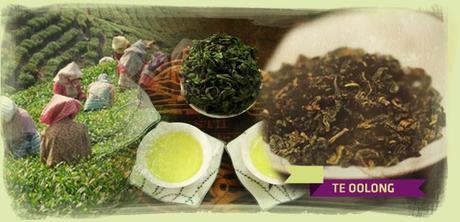 Té verde Matcha y otros tés te_oolong02