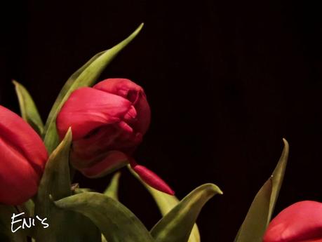 ¡ Sandwich de galletas de chocolate con Nutella !