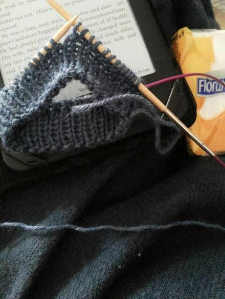 Swapetines 2015 (II)