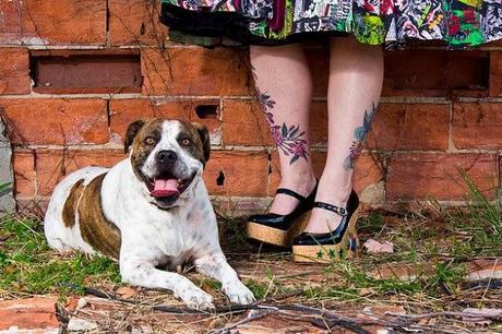 tatuajes y pit bull