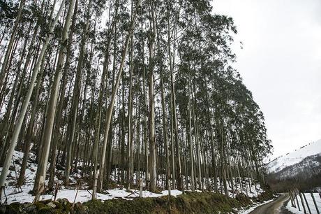 Barcenillas, Cantabria