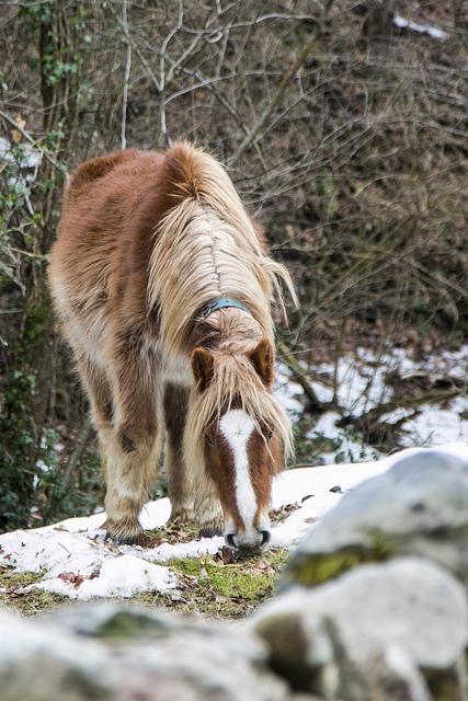 Barcenillas, ruta de las cascadas Lamiña