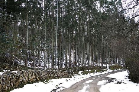 Barcenillas, Cantabria