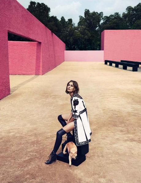 Trending Collection #20