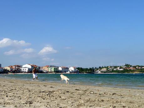 Playa para Perros en el Concello de Ares