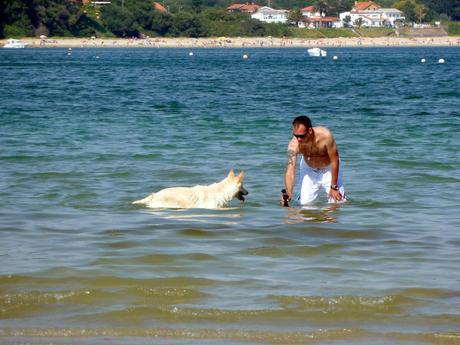 Playa para Perros en el Concello de Ares Playa para Perros en el Concello de Ares