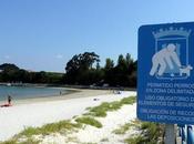 Playa para Perros Concello Ares