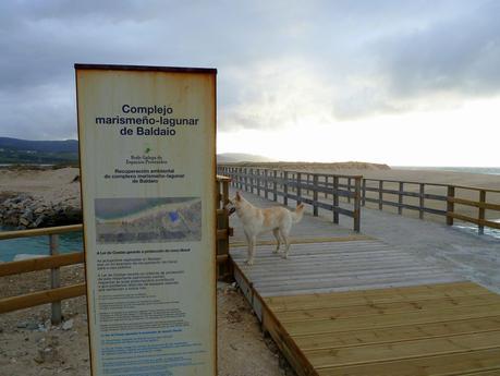 Senderismo: Complejo marismeño-lagunar de Baldaio