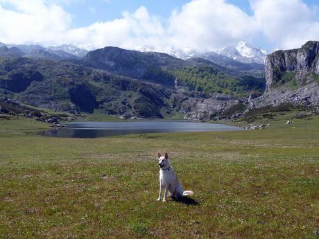 Senderismo: Asturias Lagos de Covadonga